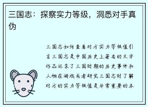 三国志：探察实力等级，洞悉对手真伪