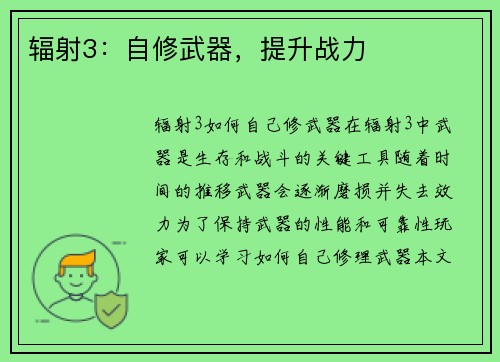 辐射3：自修武器，提升战力