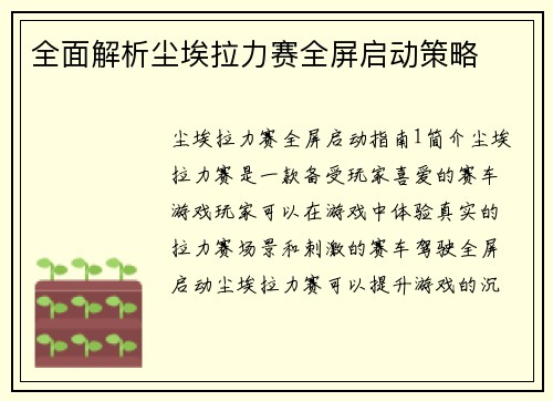全面解析尘埃拉力赛全屏启动策略